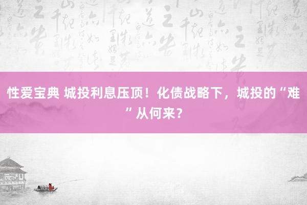 性爱宝典 城投利息压顶！化债战略下，城投的“难”从何来？