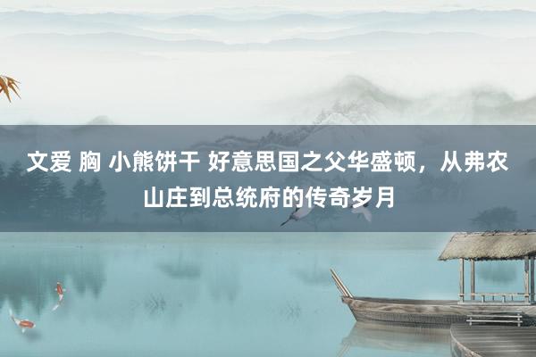 文爱 胸 小熊饼干 好意思国之父华盛顿，从弗农山庄到总统府的传奇岁月