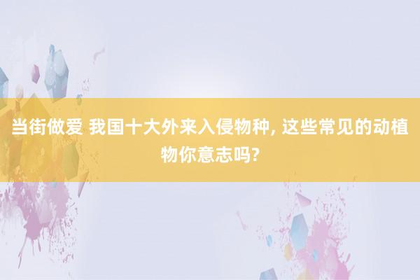 当街做爱 我国十大外来入侵物种， 这些常见的动植物你意志吗?