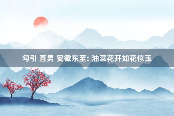勾引 直男 安徽东至: 油菜花开如花似玉