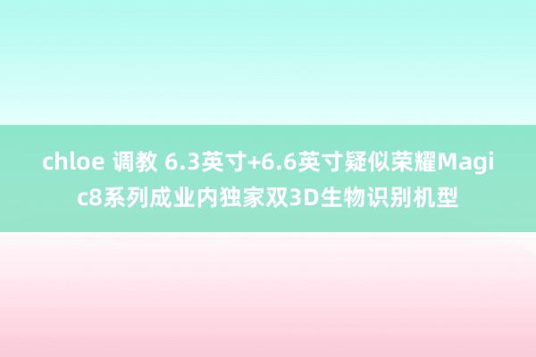 chloe 调教 6.3英寸+6.6英寸疑似荣耀Magic8系列成业内独家双3D生物识别机型