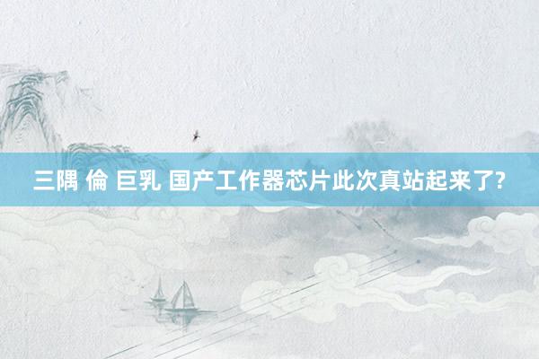 三隅 倫 巨乳 国产工作器芯片此次真站起来了?